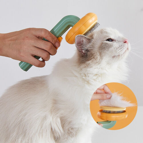 Self-Cleaning Pumpkin Brush – Gentle Grooming for Pets