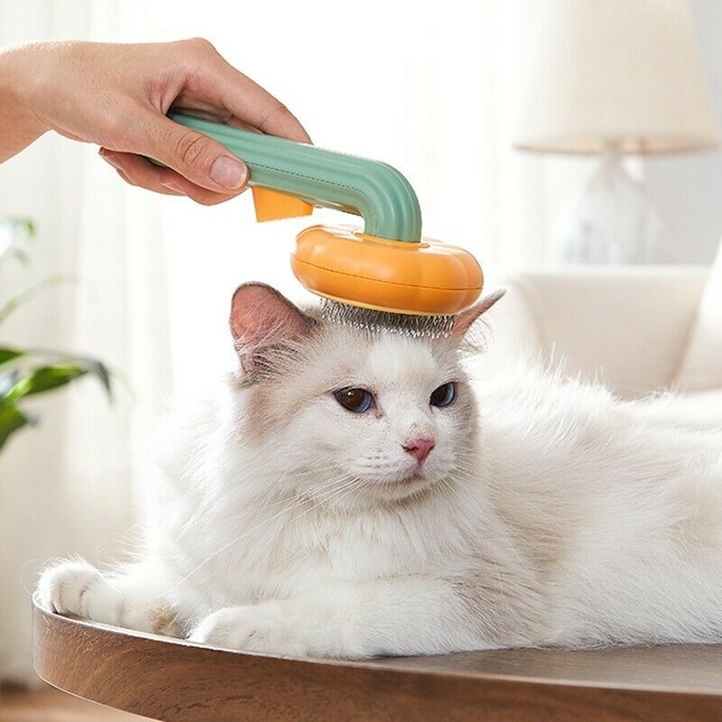 Self-Cleaning Pumpkin Brush – Gentle Grooming for Pets