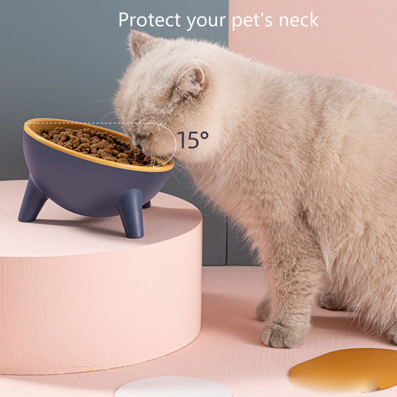 Modern Raised Pet Bowl – Chic, Durable & Easy to Clean