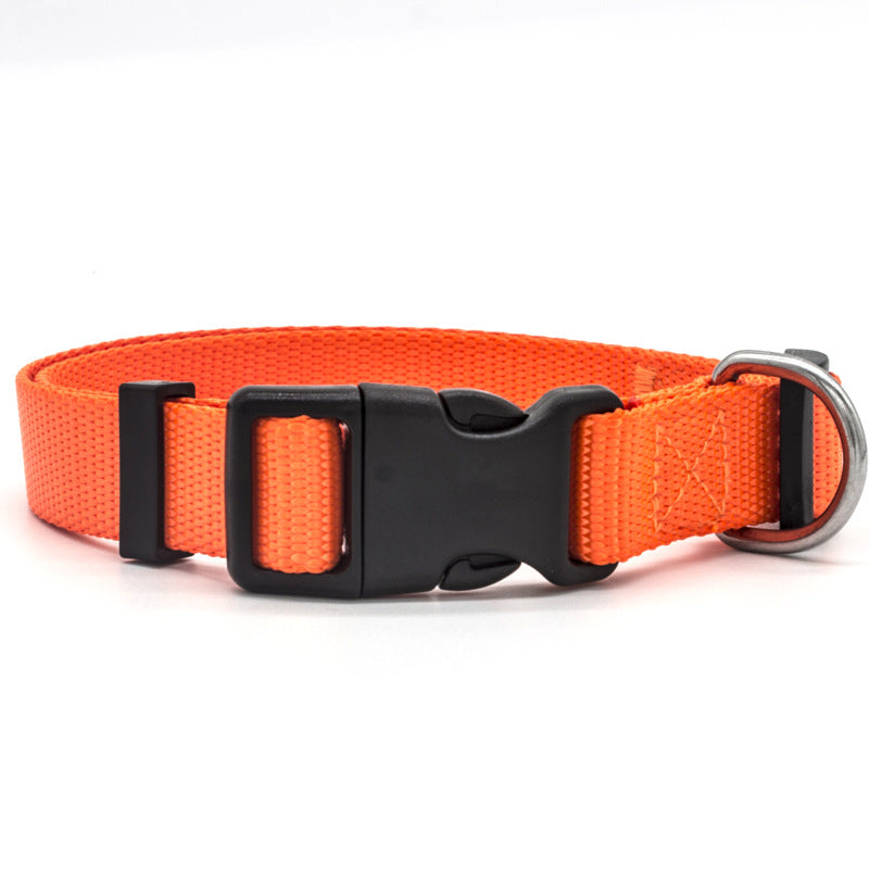 Adjustable Pet Collar – Comfy, Durable & Stylish