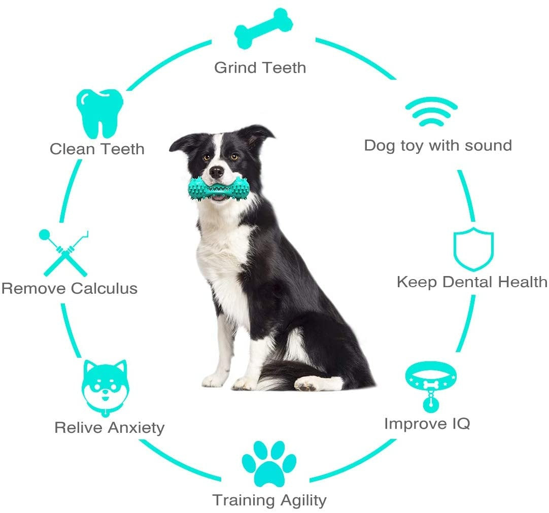 Durable Dog Chew Toy – Squeaky, Safe & Tooth-Friendly
