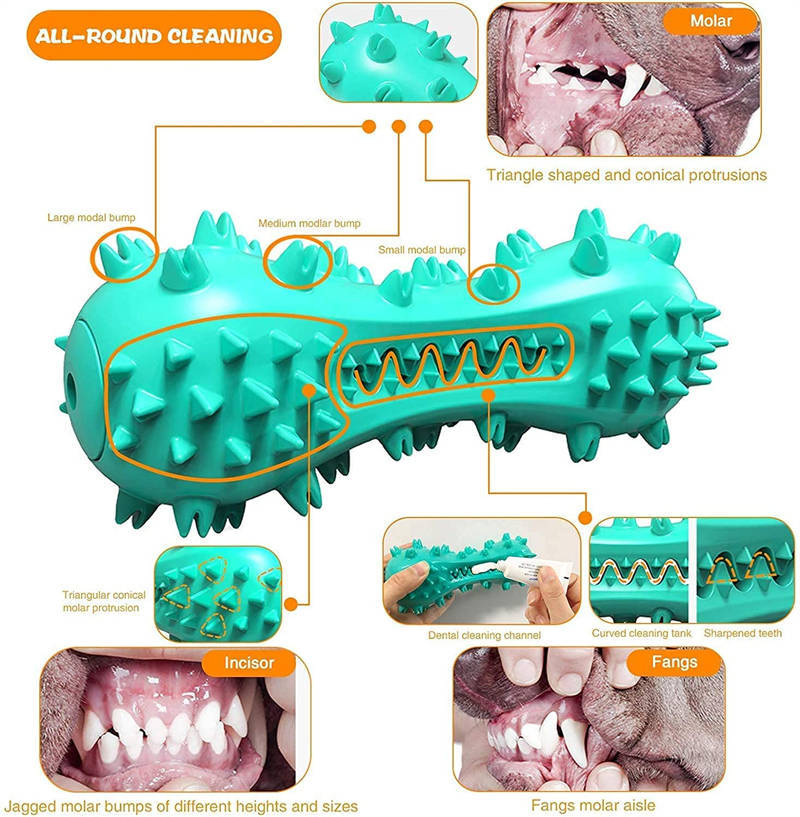 Durable Dog Chew Toy – Squeaky, Safe & Tooth-Friendly