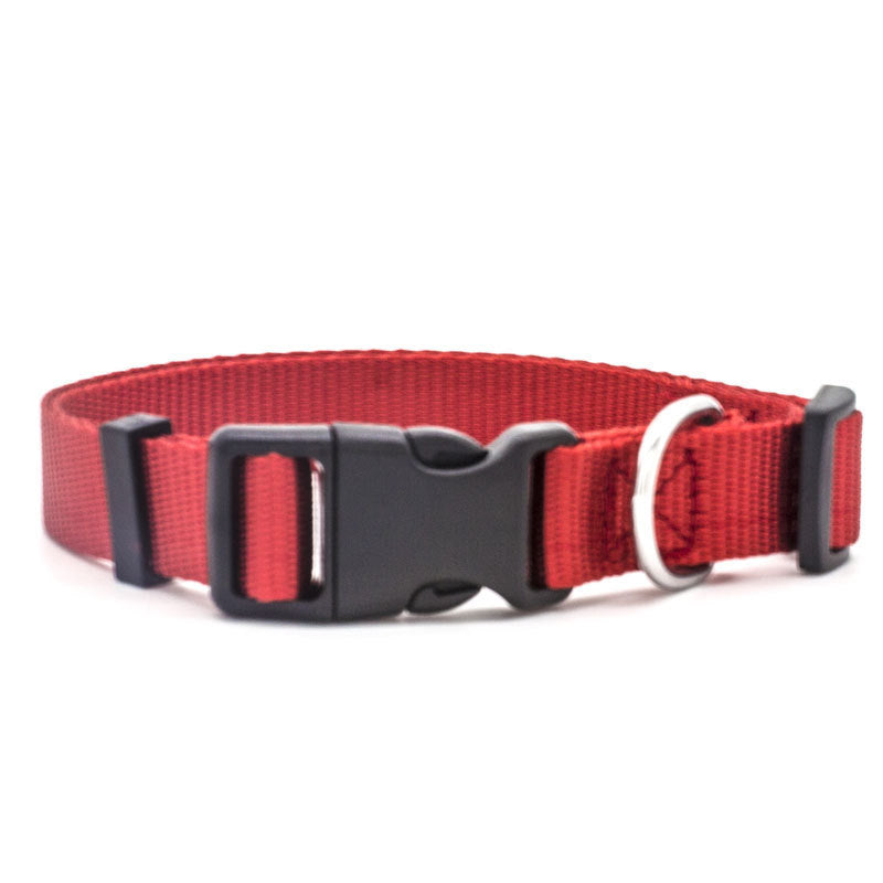 Adjustable Pet Collar – Comfy, Durable & Stylish