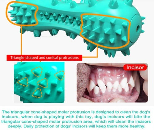 Durable Dog Chew Toy – Squeaky, Safe & Tooth-Friendly