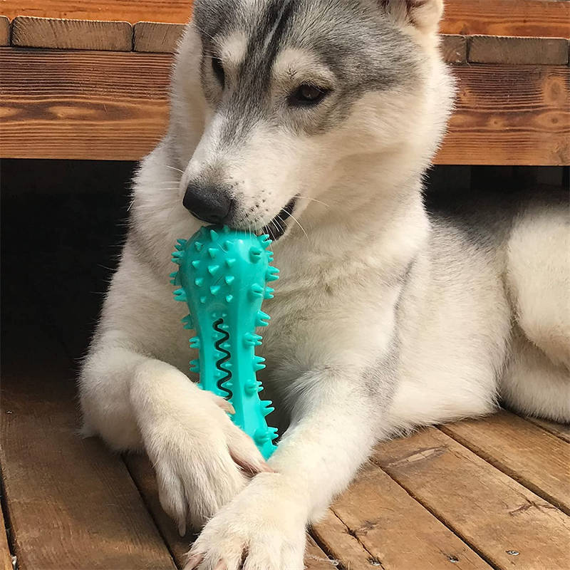 Durable Dog Chew Toy – Squeaky, Safe & Tooth-Friendly
