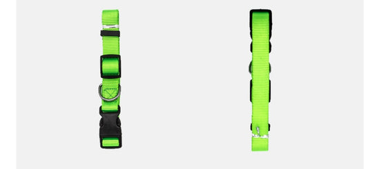 Adjustable Pet Collar – Comfy, Durable & Stylish