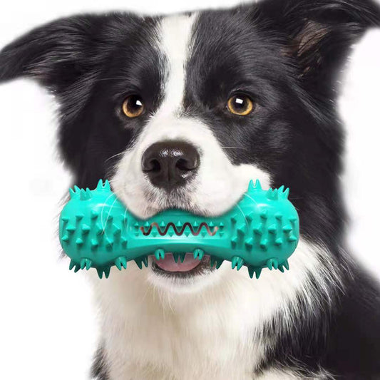 Durable Dog Chew Toy – Squeaky, Safe & Tooth-Friendly